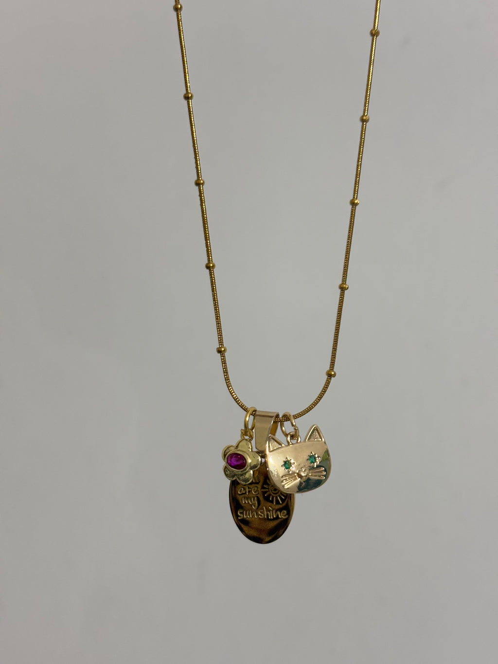 Pet charm jumble