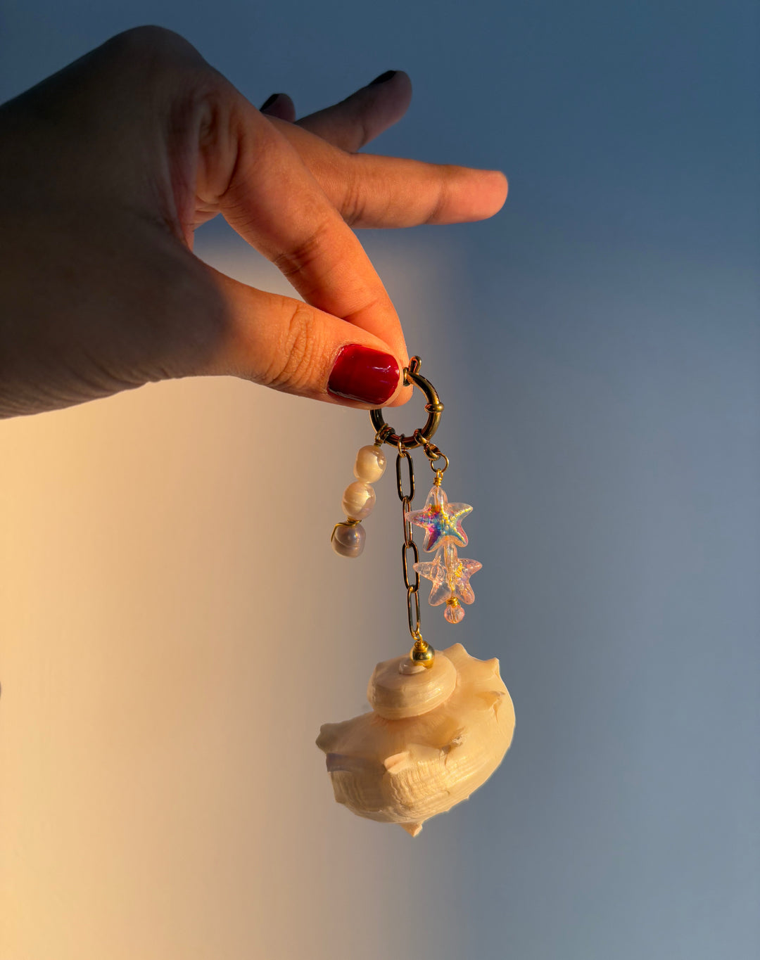 Rare conch shell ( bag/ key charm)